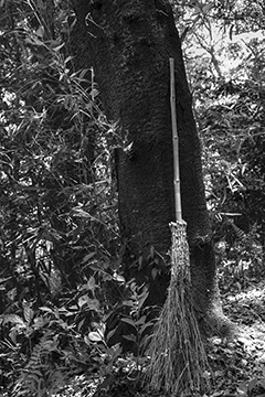  Brooms Of Jubo Mountain #18