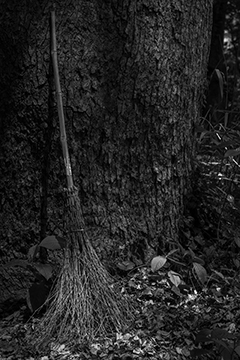  Brooms Of Jubo Mountain #25