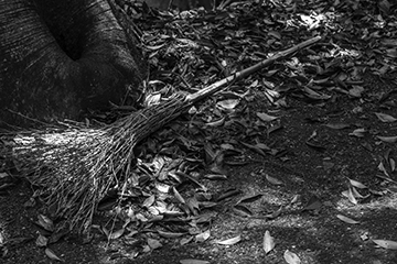  Brooms Of Jubo Mountain #5