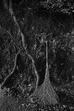  Brooms Of Jubo Mountain #70