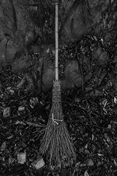  Brooms Of Jubo Mountain #78
